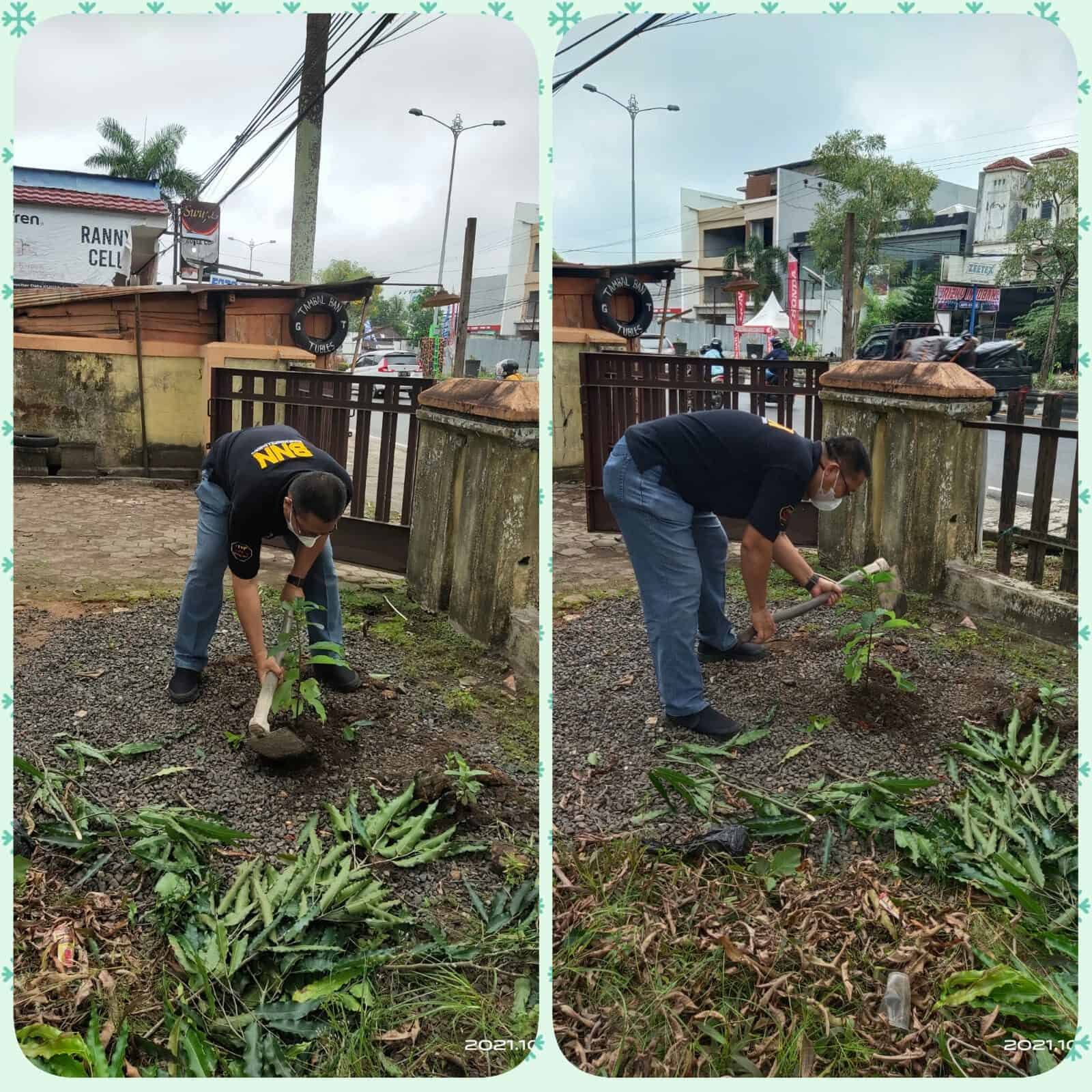 BNN Kota Banjarbaru- membersihkan halaman kantor eks. Disporabudpar yang akan di tempati BNN Kota Banjarbaru dan menanam pahon buah BNN Kota Banjarbaru- membersihkan halaman kantor eks. Disporabudpar yang akan di tempati BNN Kota Banjarbaru dan menanam pahon buah